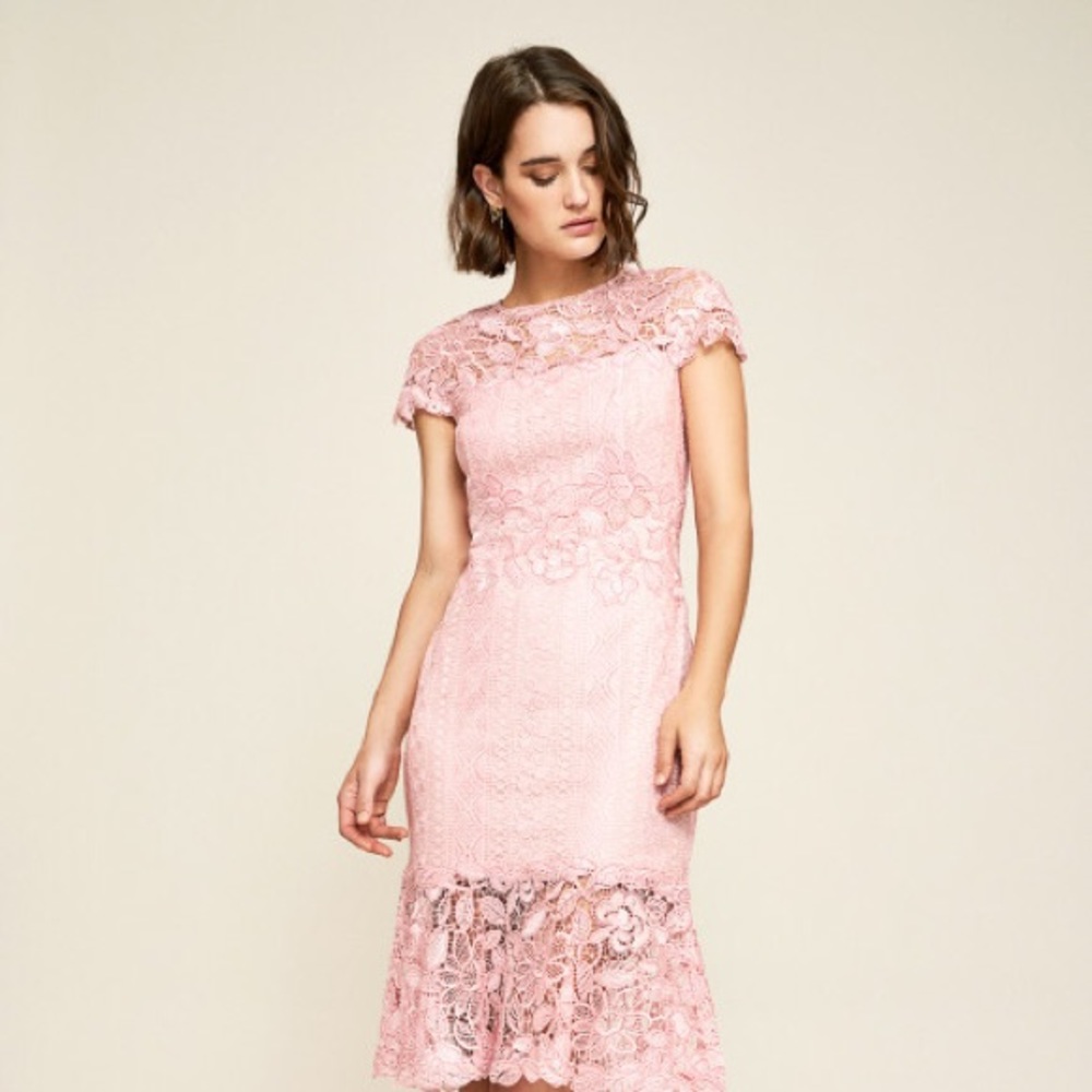 Alice embroidered lace dress